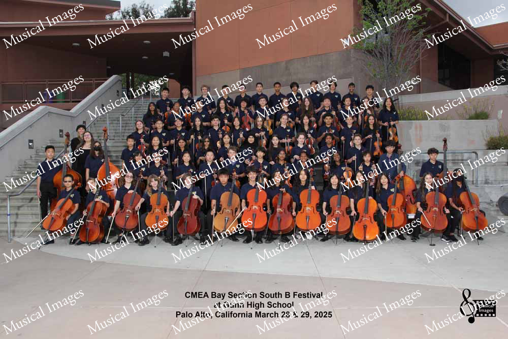 Musical Images
